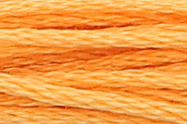 Anchor Mouliné Stickgarn 8m (Farben 303 bis 861)