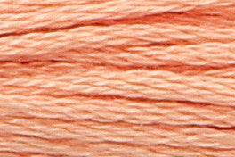 Anchor Mouliné Stickgarn 8m (Farben 303 bis 861)