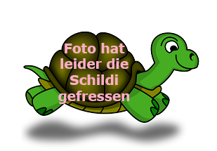 Anchor Perlgarn 5 5g (Farben 266 bis 1104)