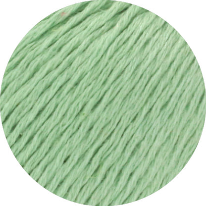 Dodici 50g