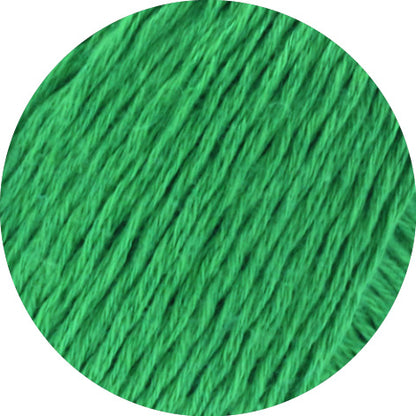 Dodici 50g